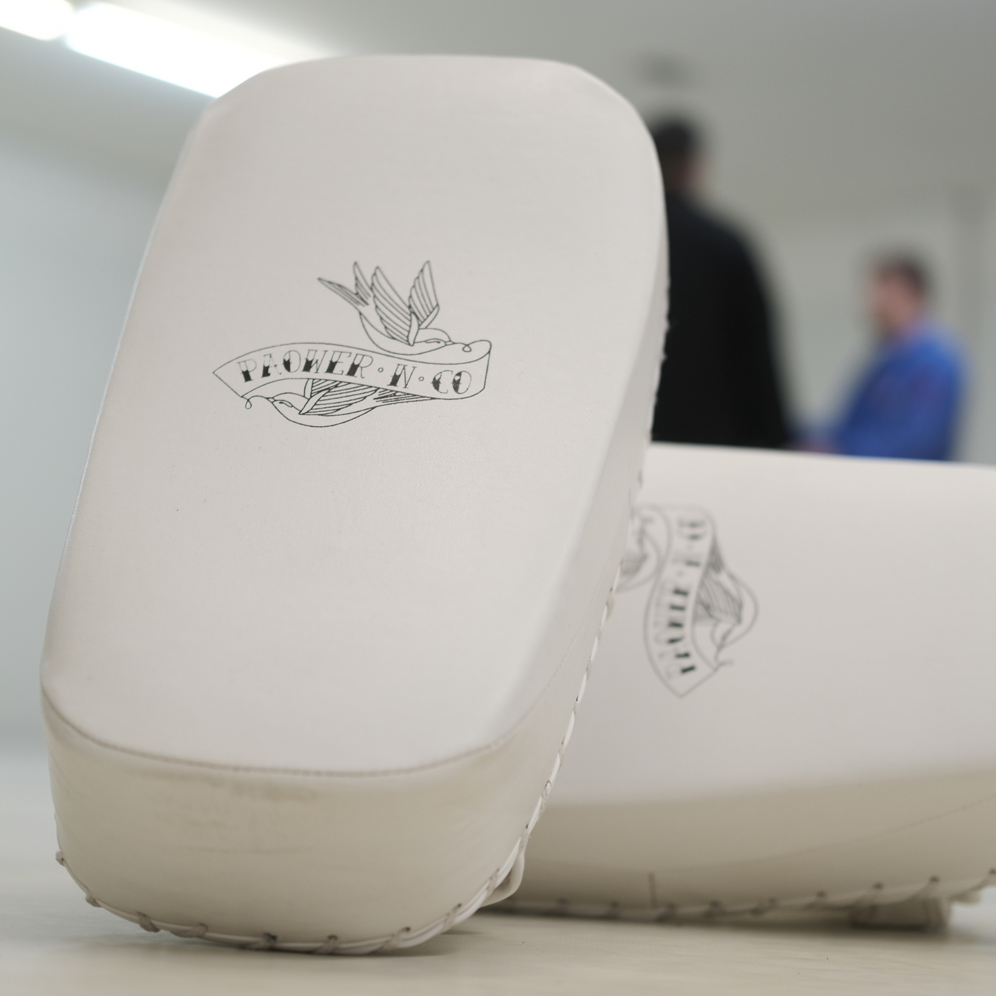 Muay Thai kick pads (PAIR)