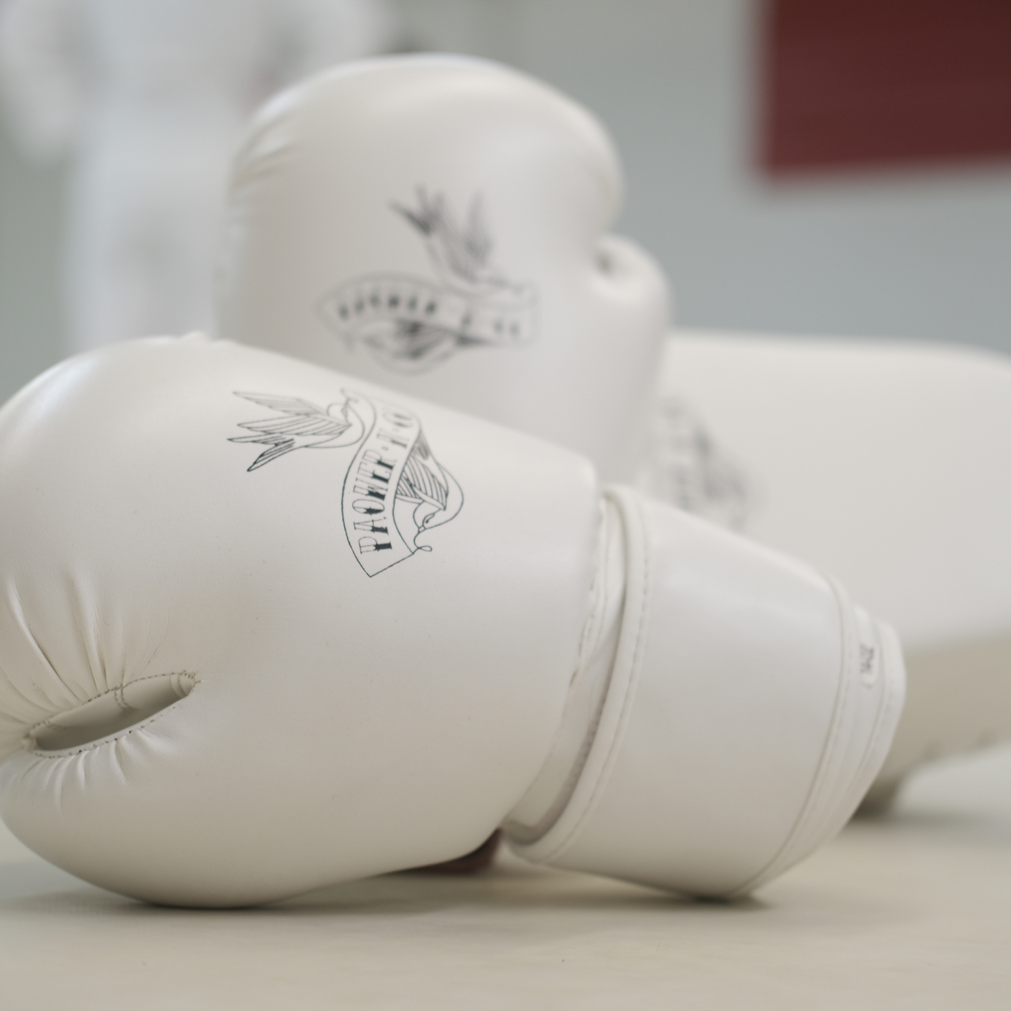 Muay Thai 14oz Gloves