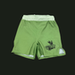 Pistachio Green  Lycra no gi shorts Adults