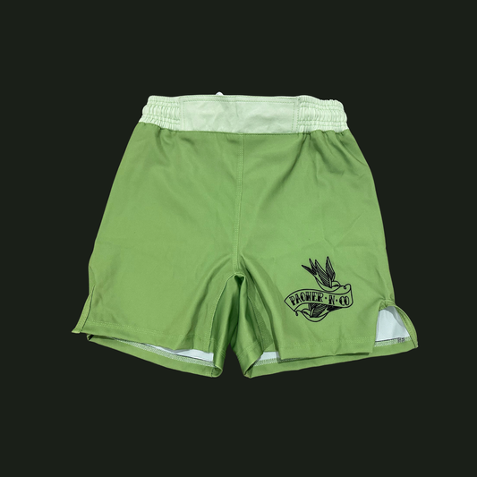 Pistachio Green  Lycra no gi shorts Adults