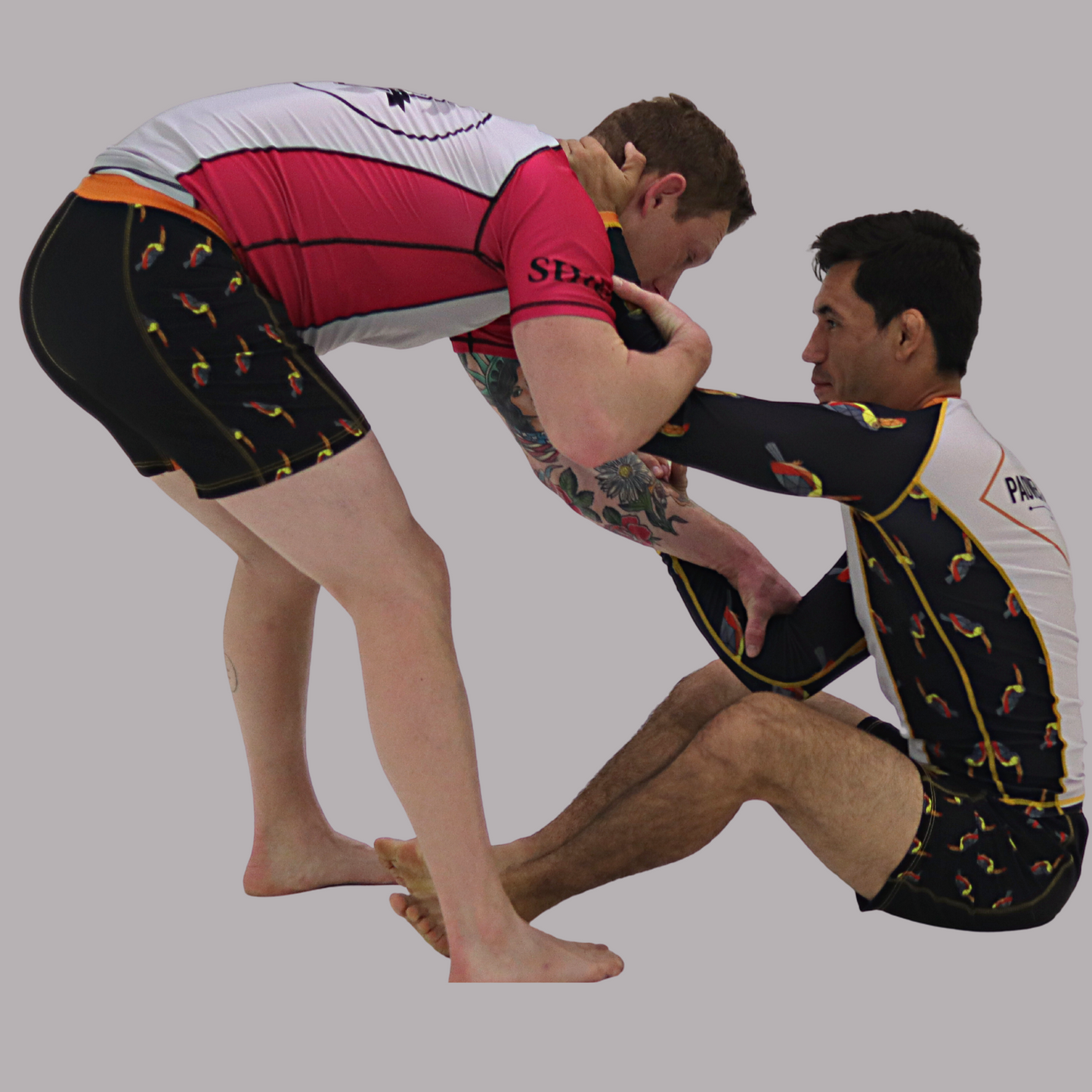 Toucan No Gi Shorts